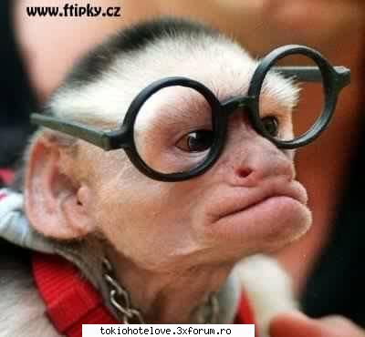 :rotfl: poze haioase