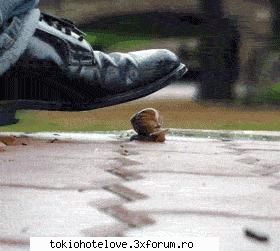 :rotfl: poze haioase